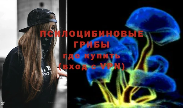 молекула духа Туринск