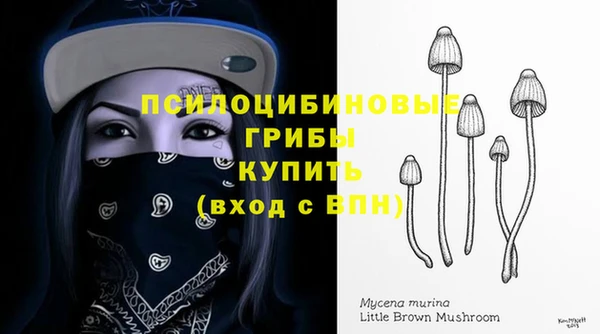 молекула духа Туринск