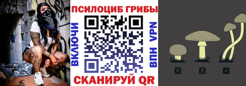 Псилоцибиновые грибы Psilocybine cubensis Яровое